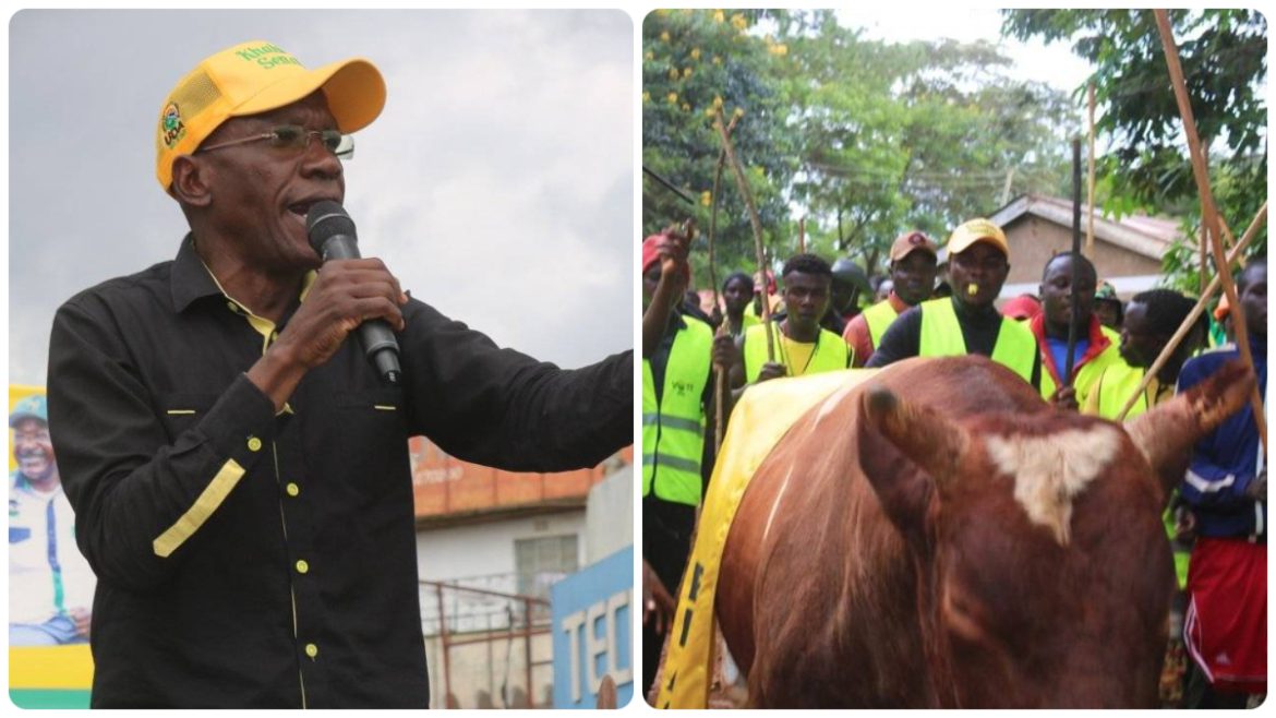 Boni Khalwale Boni Khalwale's Fighter Bull
