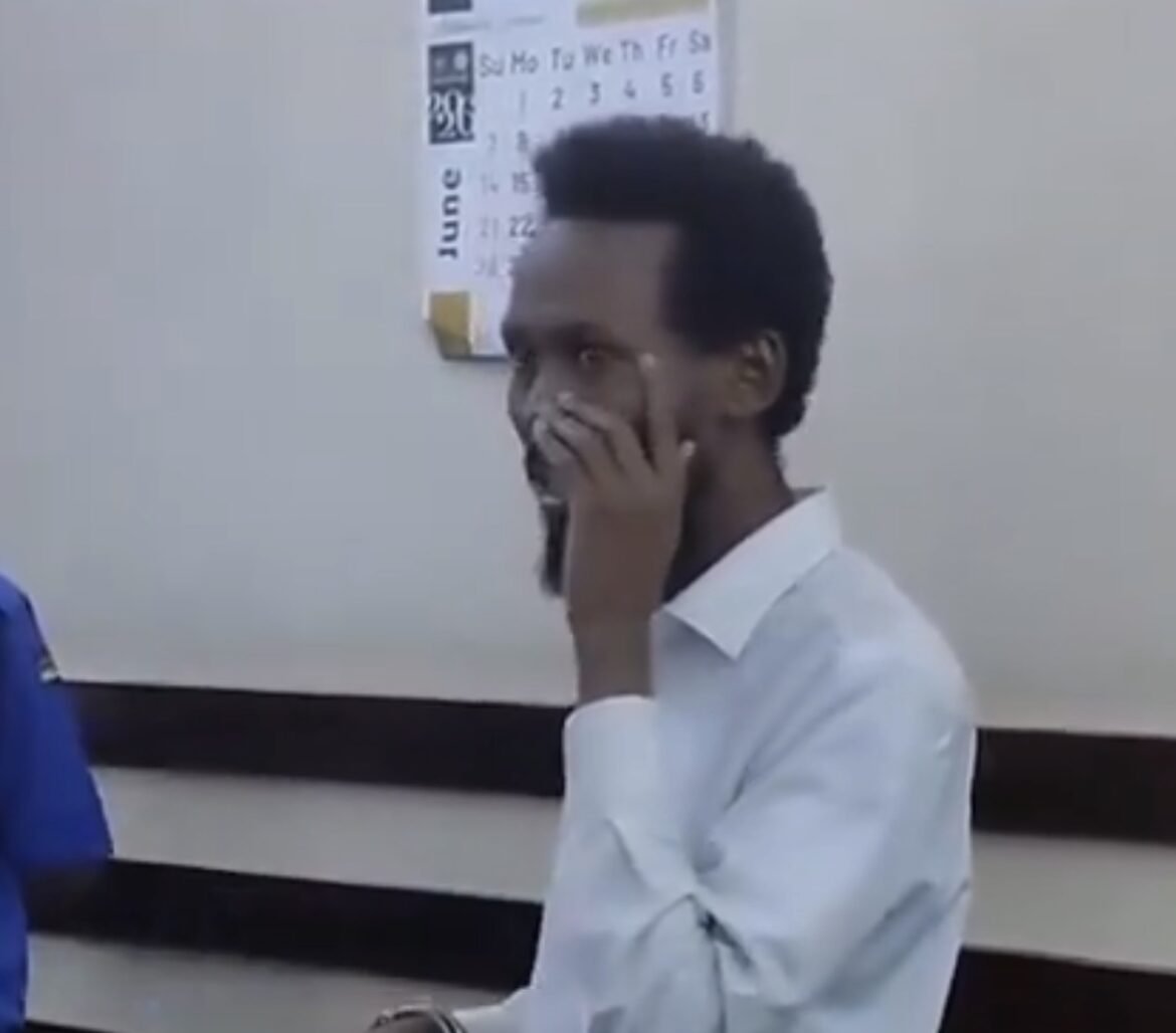 Somali Government Adviser Ismael Abukar Osman
